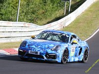 VLN6-2025-017