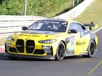 VLN6-2025-019