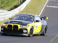VLN6-2025-036