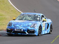 VLN6-2025-077