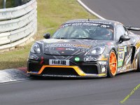 VLN6-2025-081