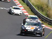 VLN6-2025-113