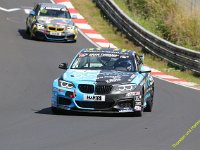 VLN6-2025-115