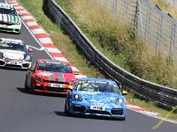 VLN6-2025-124