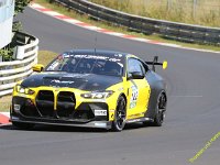 VLN6-2025-131