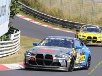 VLN6-2025-132