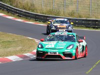 VLN6-2025-135