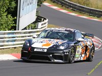 VLN6-2025-136