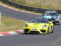 VLN6-2025-141