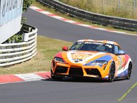 VLN6-2025-146