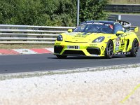 VLN6-2025-169