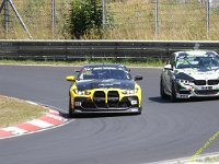 VLN6-2025-173