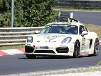 VLN6-2025-177