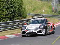 VLN6-2025-185