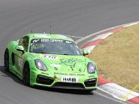 VLN6-2025-204