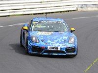 VLN6-2025-242