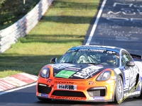VLN 5 0056
