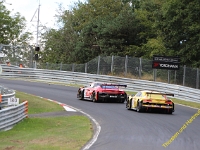 VLN-6h 2020 0302