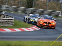 VLN-6h 2020 0431