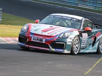 VLN 7 0119