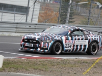 RCN 2018 0274