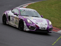 VLN-2024-250