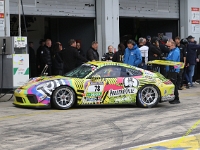 VLN-7-2025-081