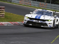 VLN-7-2025-272