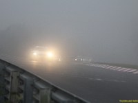 Elmar VLN 0119