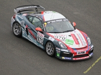 VLN 8 2017 0011