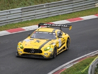 VLN 8 2017 0169