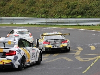VLN 8 2017 0175