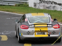 VLN 8 2017 0185