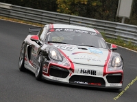 VLN 8 2017 0187