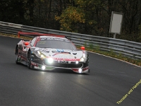 VLN 8 2017 0193
