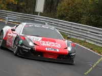 VLN 8 2017 0198