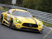 VLN 8 2017 0199