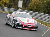 VLN 8 2017 0206