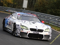 VLN 8 2017 0232