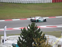 VLN 8 2017 0275