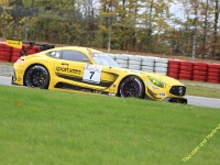 VLN 8 2017 0349