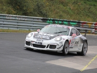 VLN 8 2017 0384