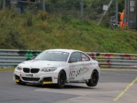 VLN 8 2017 0393