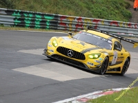 VLN 8 2017 0399