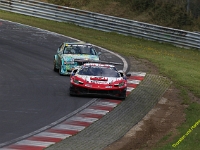 VLN-8-2025-097
