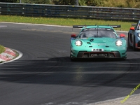 VLN-8-2025-130