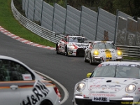 Elmar VLN 0113