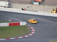Elmar VLN 0186