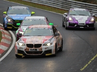 VLN 9 2017 0194