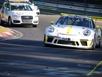 VLN-NLS-2021-00066